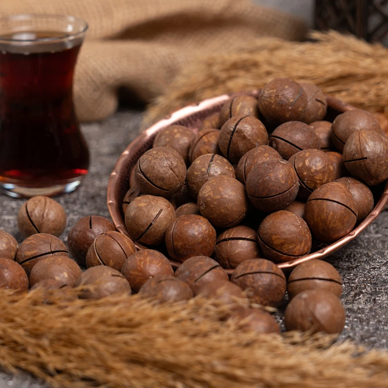 Makademya Fındığı